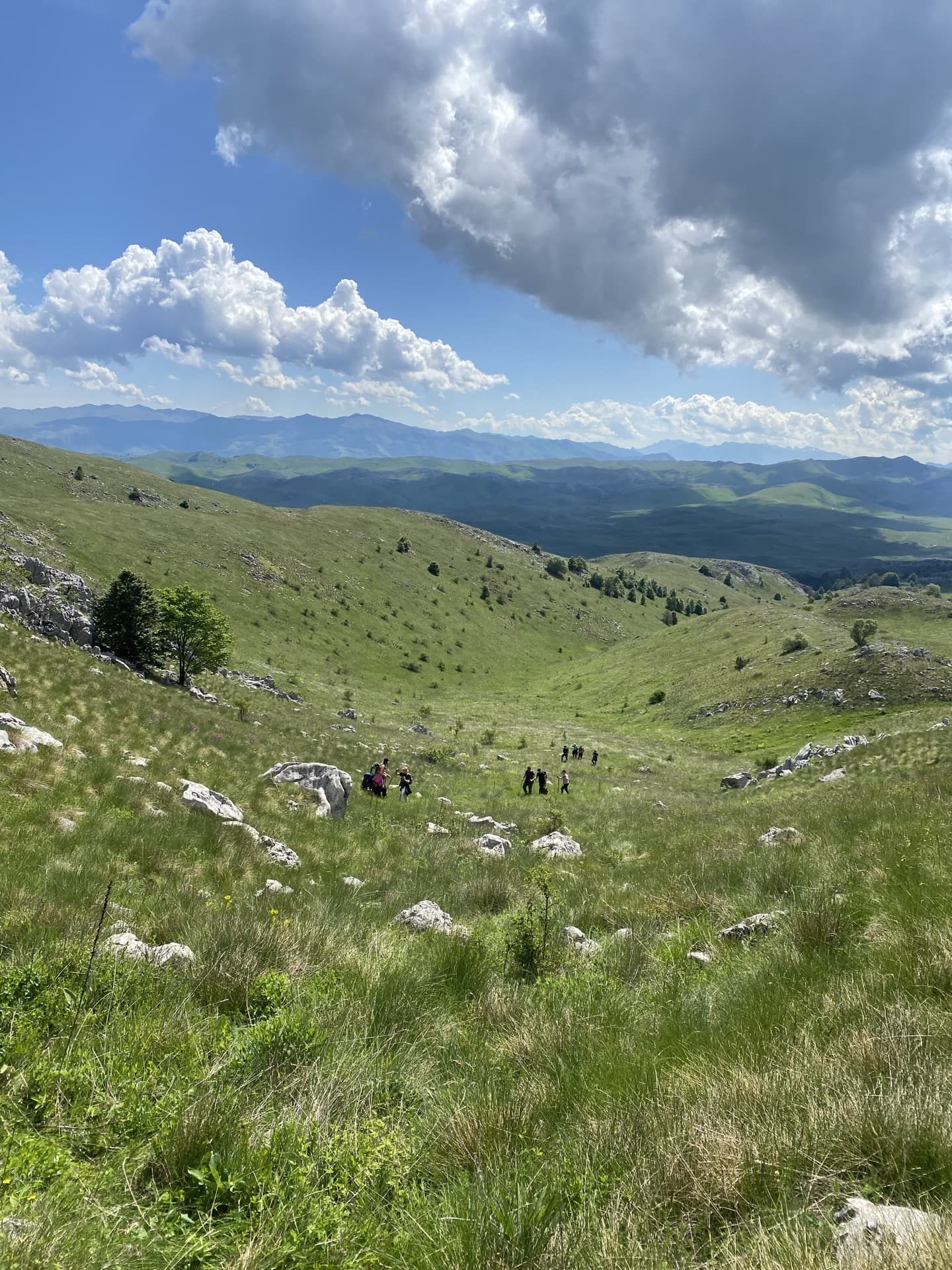 Planina kao Slobodna zona!