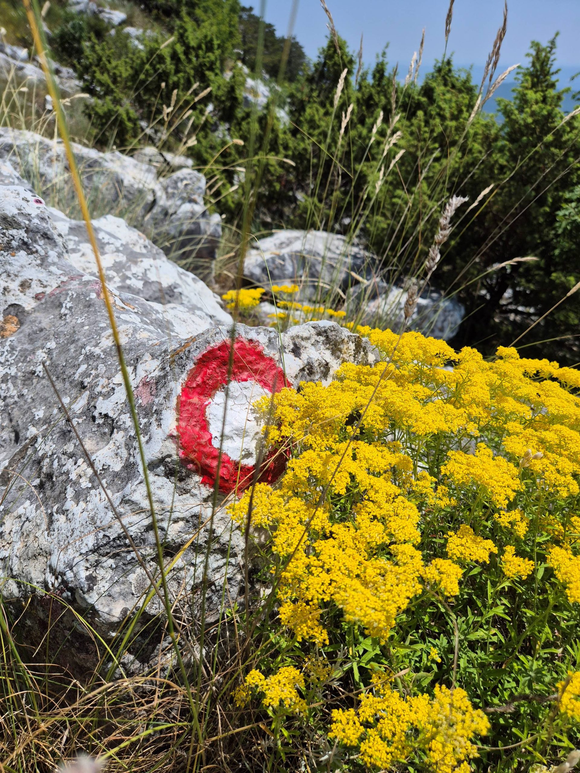 Kako čitati planinarske markacije i šta znače planinarske oznake?